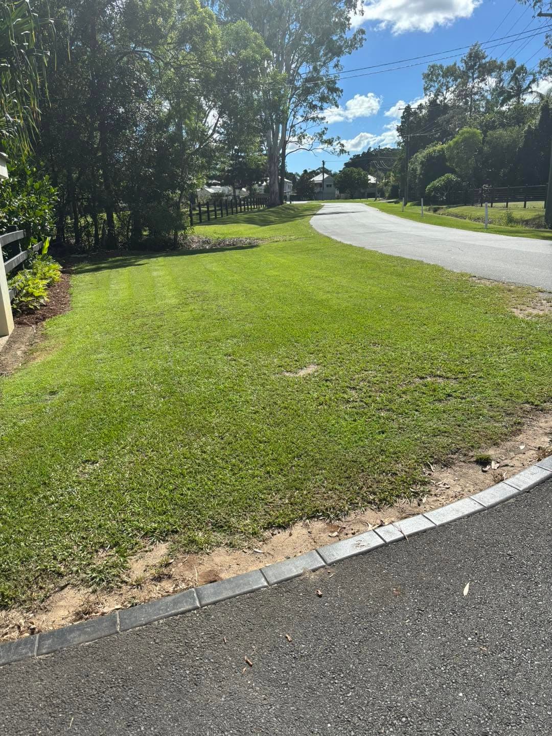 Precisely striped roadside lawn with a clean garden edge